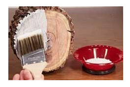 木材干燥時出現的表裂和端裂